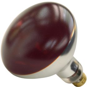 Heat Lamp Bulb 250 Watt Red