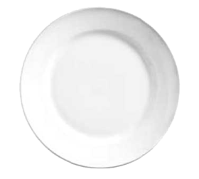 Porcelana Plate 10 1/2