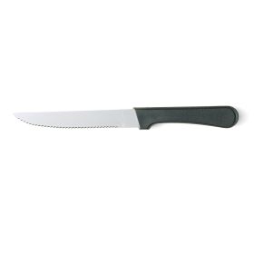 Steak Knife 4 5/8