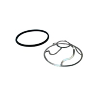 Vizion Brine Seal Kit