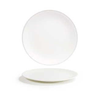 Catalyst Plate 9 1/2"