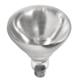 Heat Lamp Bulb 250 Watt Clear