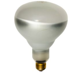 Heat Lamp Bulb 125 Watt Clear Coated