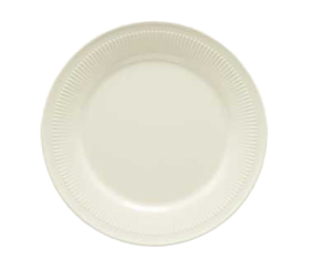 Plate 9" White Plastic